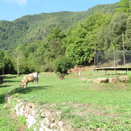 El Moli De Dalt Holiday home